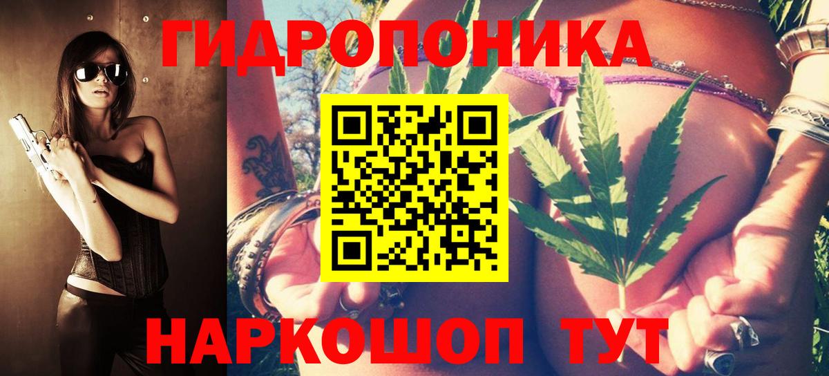 Конопля SATIVA & INDICA  Бошки Шишки Amnesia  Вход с VPN  Калуга 